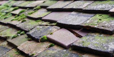 Woodham Walter roof repair costs
